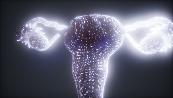 INH_19017_06035.jpg INH_19017_06035.jpg