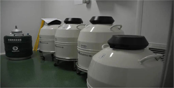 微信图片_20220117093539.jpg 微信图片_20220117093539.jpg