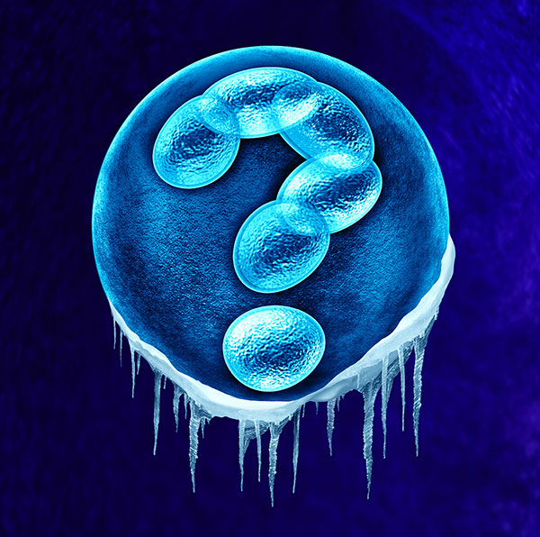 冷冻胚胎.jpg
