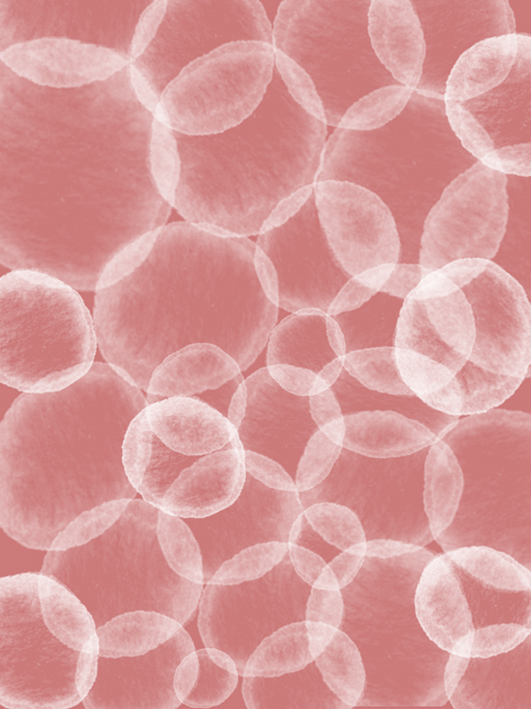 卵泡.jpg 卵泡.jpg