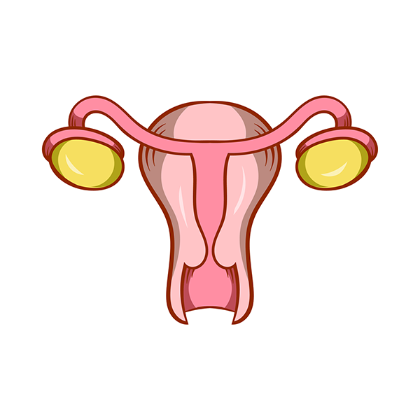 IST_15344_05692.png