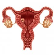 为什么医生让你做子宫内膜容受性检测（ERT）？